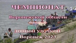 Чемпионат Воронежской области по фидеру июль 2023