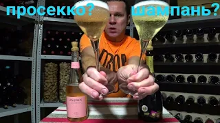Просекко или шампанское? Кава 1+1=3 vs Cygnus Giennah.Эксперт по вину Стефан Секулич. Imperial Vin.