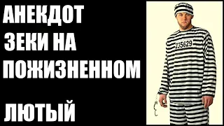 Анекдот про  зеков на пожизненном | Анекдоты смешные до слез | новые анекдоты