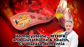 Homocysteine, MTHFR, and Glutathione and health, cv disease, dementia - FORD BREWER MD MPH