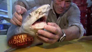 Inside Thailand's GIANT Fish Market | River Monsters