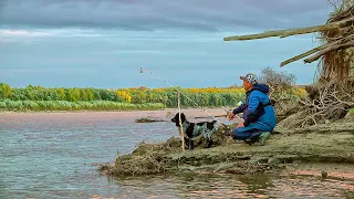 МЕЧТА СБЫЛАСЬ! Супер - рыбалка на закидушки! Пять ночей на острове с Ромкой. Рыбалка с ночёвкой