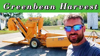 Harvesting Green Beans With an Oxbo BH100 One Row Picker