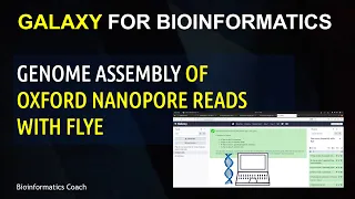 How to Run Flye on Galaxy for Assembling Oxford Nanopore Reads