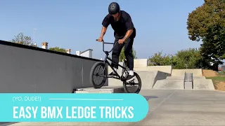 20 Easy BMX Ledge Tricks!