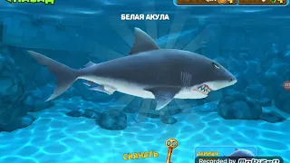 ПЕРВЫЙ ВЗГЛЯД НА ИГРУ HUNGRY SHARK EVOLUTION/FIRST LOOK AT THE GAME HUNGRY SHARK EVOLUTION.