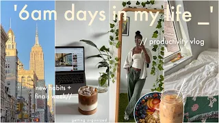 6am productive days in my life in NYC🌷: realistic college morning routine, organizing my life & more