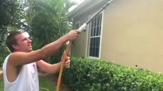 Proper way to clean gutters and soffits without a power washer soft wash chemical cleaning