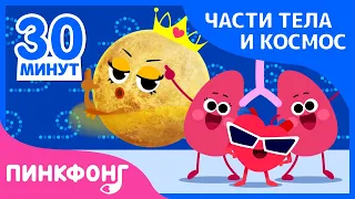 Учиться Вместе | Песни про Части Тела и Космос | +Сборник | Пинкфонг Песни для Детей