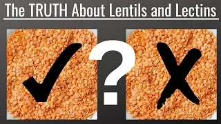 Eating Lentils  The TRUTH About Lentils and Lectins