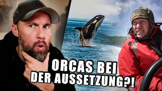 Sind das wirklich Orcas?! Robert reagiert auf 7 vs. Wild: Teams Folge 1 - Die Aussetzung