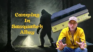 Camping Sasquatch Alley