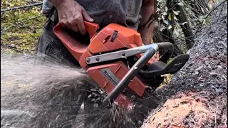 How to Cut Firewood with a chainsaw.