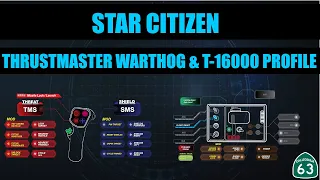 Star Citizen Thrustmaster HOTAS WARTHOG & T-16000 Joystick Profile Design