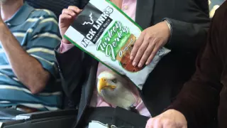 Jack Link's Beef Jerky  HANGRY Moments   Middle Seat 1080p