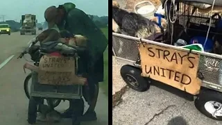 Woman Changes Life Of Homeless Man With 10 Dogs