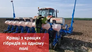 Демо поле LIDEA в Уманському районі!