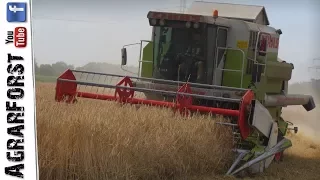 CLAAS DOMINATOR 88 SL im Einsatz! - Roggenernte 2017