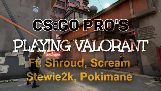 CS:GO Players in Valorant | Ft. Shroud, Stewie2k, Pokimane & Scream