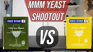Yeast Shootout: Red Star Cote Des Blanc vs Premiere Blanc