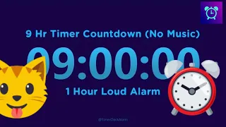 9 Hour Timer Countdown (No Music) with 1 Hour Loud Alarm