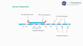 What Is 16s rRNA sequencing?