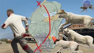 What happens if the Map is overrun by Cougars in gta 5