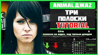 Как играть "Animal Джаz - Три полоски" на гитаре | Разбор песни