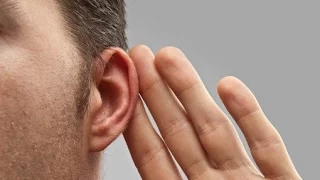 Как развить абсолютный слух?
