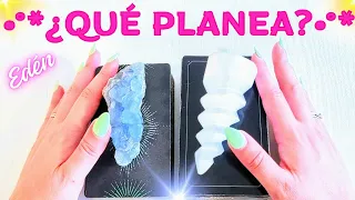 🔥💌🌹¿¡QUÉ SIGNIFICAS!?😭QUÉ PLANEA?🦋 QUÉ SIENTE?❤️‍🔥TAROT INTERACTIVO AMOR HOY PERSONA ESPECIAL