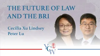 Webinar: The Future of Law and the Belt and Road Initiative—What Next?