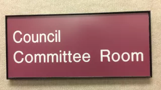 Flint City Council Committee #120617-3