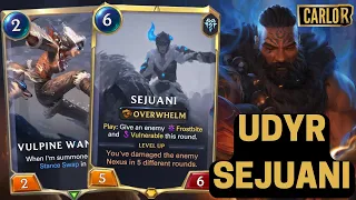 New Plundyr Udyr Sejuani | Deck Guide and Gameplay | Legends of Runeterra