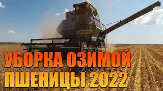 Уборка озимой пшеницы 2022 г. Итоги.