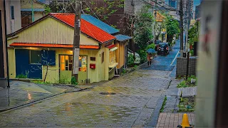 Japan - Central Tokyo Sakura Walk on a Rainy Day • 4K HDR