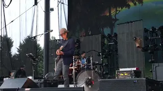 Primus too many puppies 6-22-18