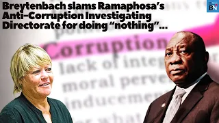 Breytenbach slams Ramaphosa’s Anti-Corruption Investigating Directorate for doing “nothing”…