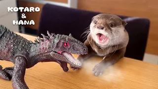 Otters React to Roaring Dinosaur!