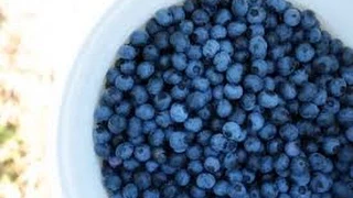 Natural ways to remove pesticides from berries