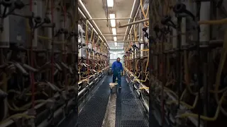 Milking Parlor Tour: Narrated by 4th Generation Dairy Farmer, Derrick Josi