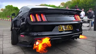 SCARY Ford Mustang V8 Sound Compilation 2020!