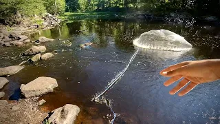 1. MAL WURFNETZ FISCHEN AN KLEINEM BACH