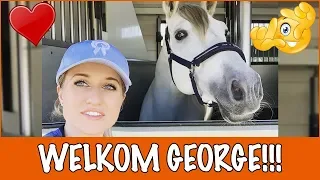 OMG George ophalen!! + Winnaars 150K-actie! | PaardenpraatTV