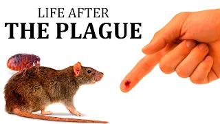 What was Life Like AFTER The Black Plague?