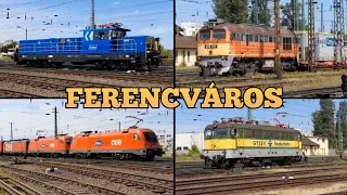 Vonatok Ferencvárosban | Trains in Ferencváros (2024)