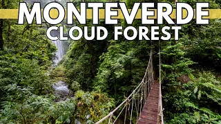 Monteverde Cloud Forest Biological Reserve, Costa Rica | Travel Guide