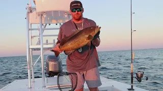 How to get LUCKY! Engine Alarms and Shallow Water Grouper Fishing!!
