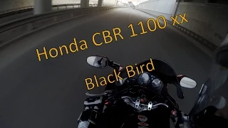 [До отсечки] Обзор Honda CBR 1100XX