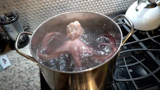 Eating LARGE OCTOPUS! (MUST WATCH)