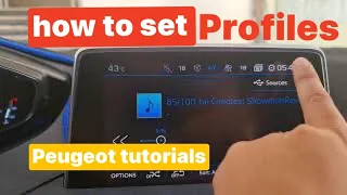 How to set profiles on Peugeot | Peugeot tutorial | daddy ronn's tutorials